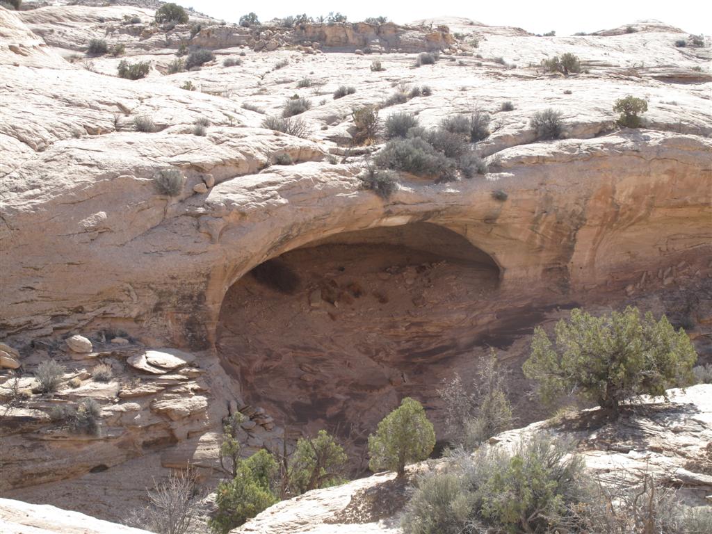 IMG_5575 (Large).JPG IMG_5575 (Large).JPG